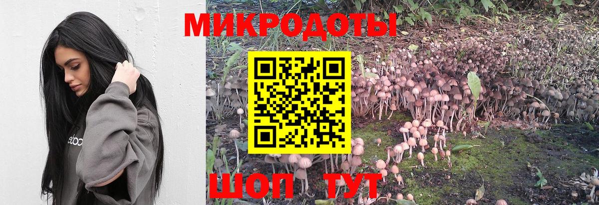 Галлюциногенные грибы Psilocybe  Галлюциногенные грибы Cubensis  Арзамас  Вход с VPN 